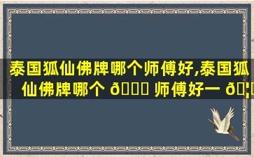 泰国狐仙佛牌哪个师傅好,泰国狐仙佛牌哪个 🐕 师傅好一 🦈 点